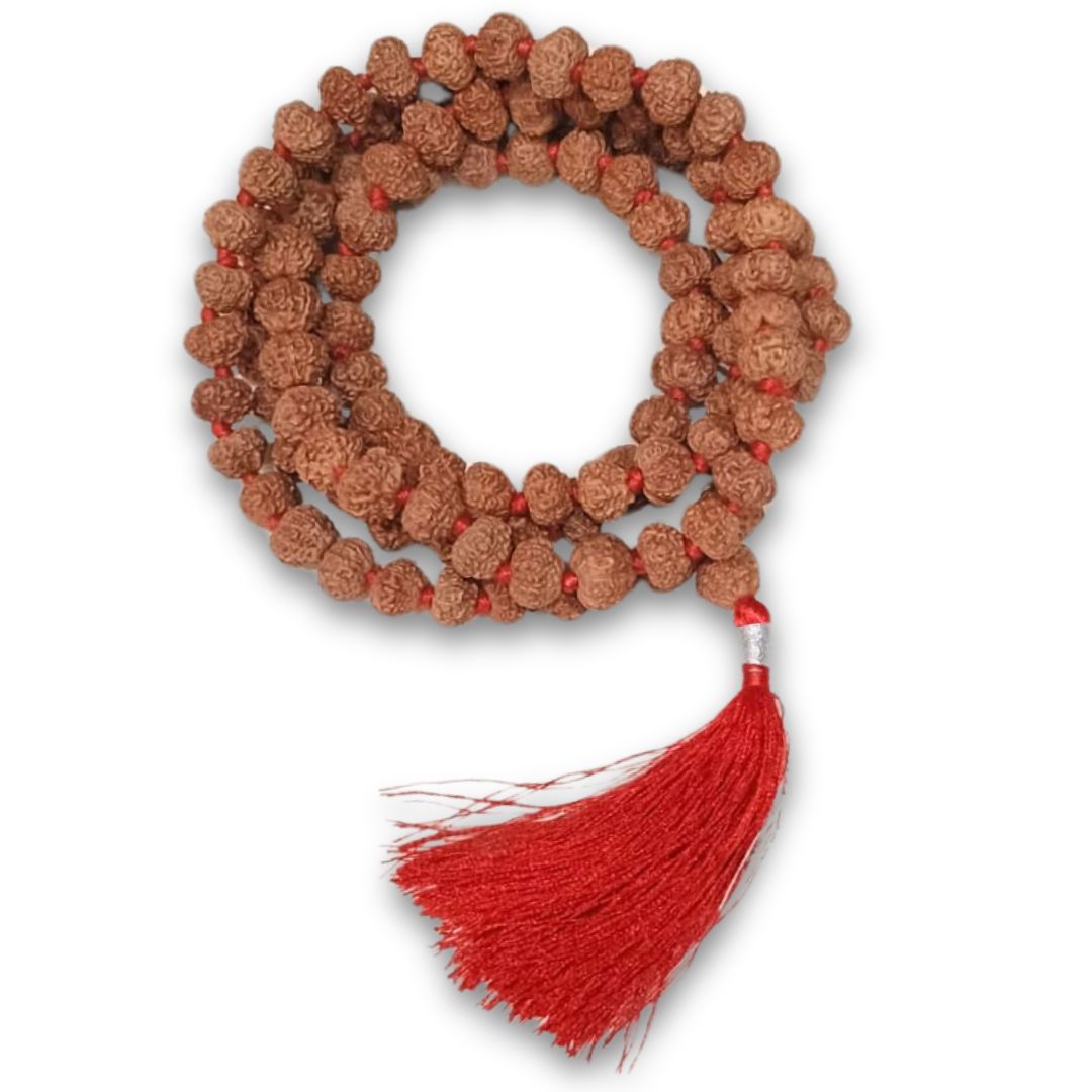 11 mukhi rudraksha mala